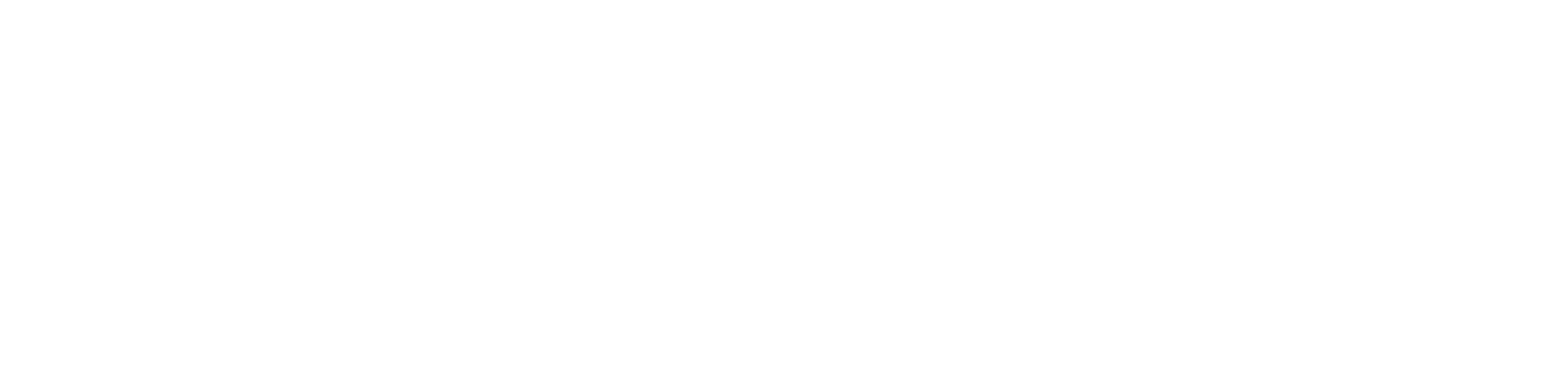 Voxtell Footer Logo